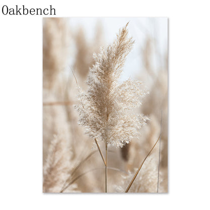 Beach Prints on Canvas Wall Art.  Stunning, fluffy pampas grass with a filtered background.  The pampas grass is front and center in this design.